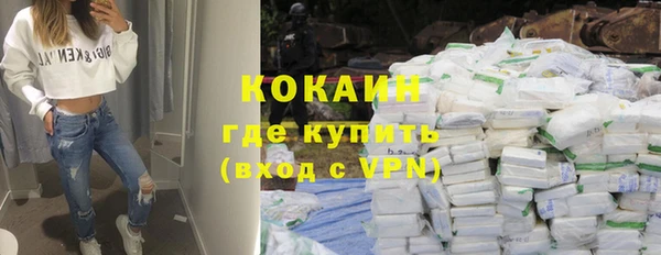 индика Белокуриха