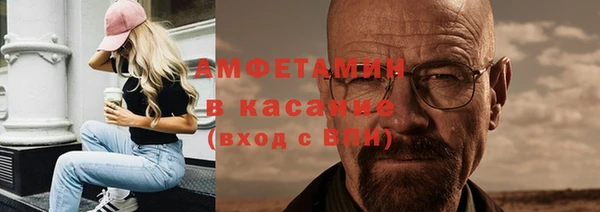 индика Белокуриха