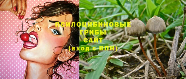 тгк Горно-Алтайск