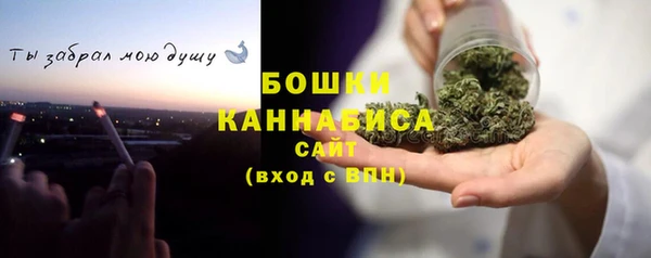индика Белокуриха