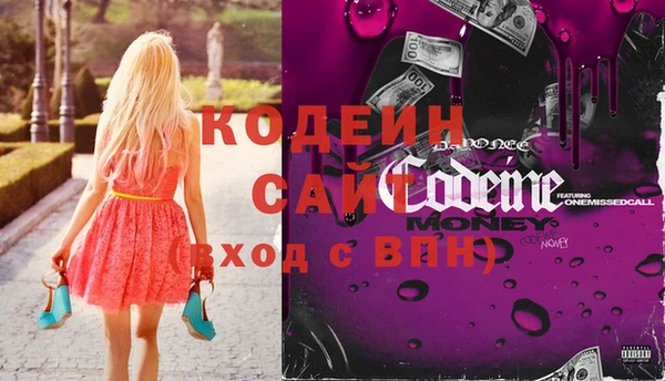 индика Белокуриха