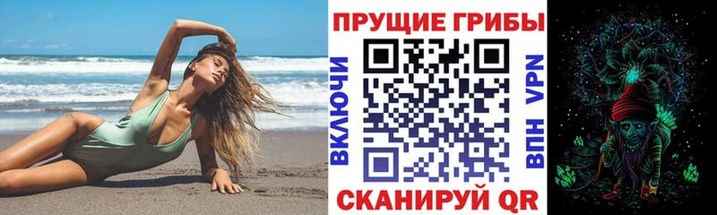 Галлюциногенные грибы Psilocybine cubensis Нефтегорск